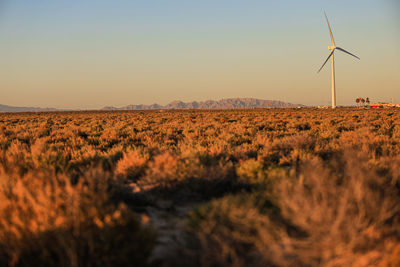 Desert,  windmills , high angle view of agricultural field, desert, sunset