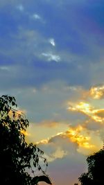 Low angle view of silhouette trees against sky at sunset