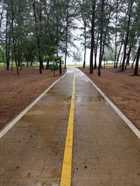 Surface level of road along trees