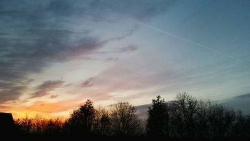 Silhouette of trees at sunset