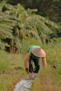 Man working in farm