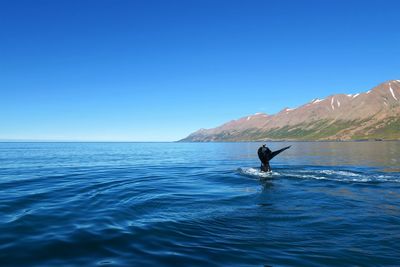 Scenic view of sea against clear blue sky