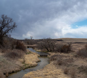 Scenic view of landscape against sky