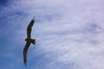 Low angle view of cloudy sky