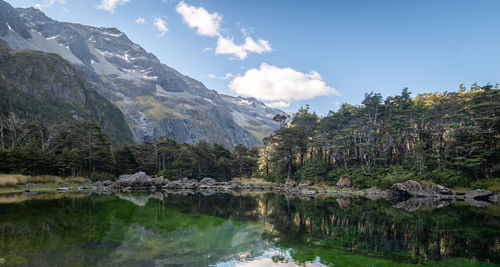 Pristine alpine lake surrounded by trees and mountains, nelson lakes national park, new zealand