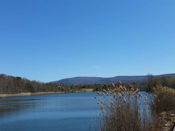 Scenic view of calm sea against clear sky