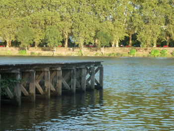 Bridge over trees by water