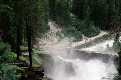 Scenic view of waterfall in forest