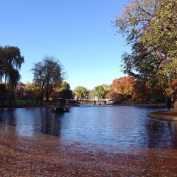 Scenic view of lake against clear sky