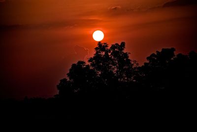 Low angle view of silhouette tree against sky during sunset