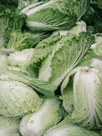 High angle view of vegetables in container