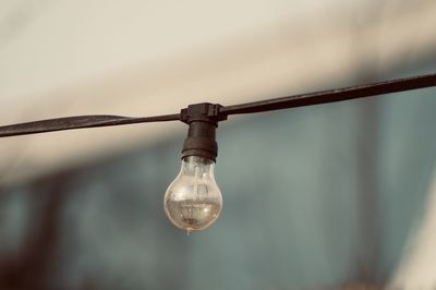 Close-up of light bulb against blurred background