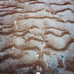 Full frame shot of tiled floor