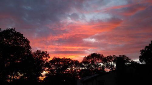 Silhouette trees and plants against dramatic sky during sunset