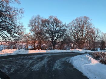 Snow covered bare trees against sky