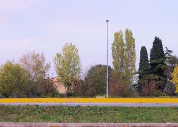 Trees and grass against sky