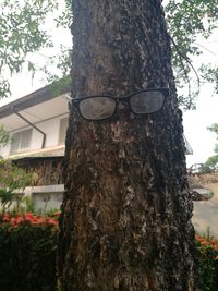 Low angle view of tree against built structure