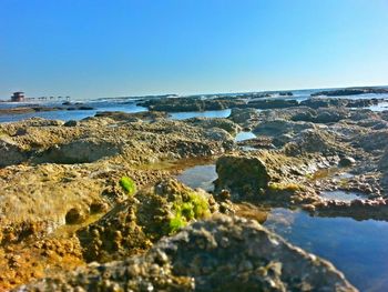 Scenic view of sea against clear sky