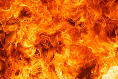 Close-up of fire crackers against black background