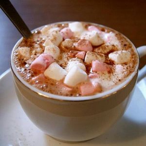 Close-up of food in bowl