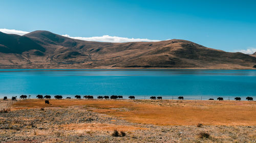 Scenic view of sea and mountains against clear blue sky