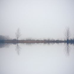 Reflection of trees in calm lake