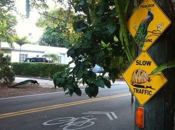 Yellow text on tree in city