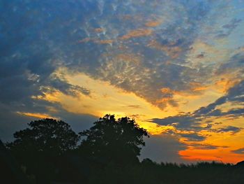 Silhouette of trees at sunset