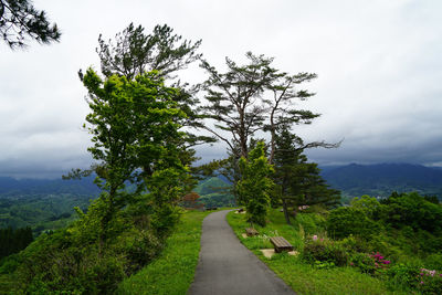 Empty road along trees and plants against sky