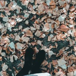 Low section of person standing on autumn leaves