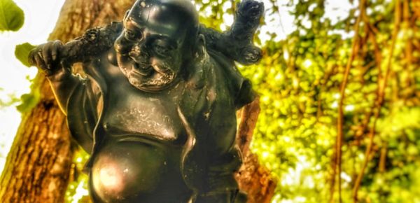 Close-up of statue against plants