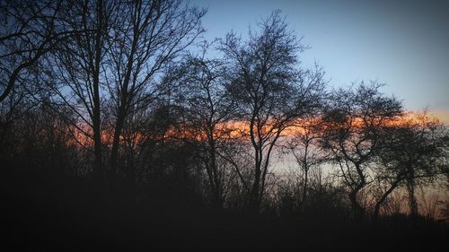 Silhouette bare trees against sky during sunset