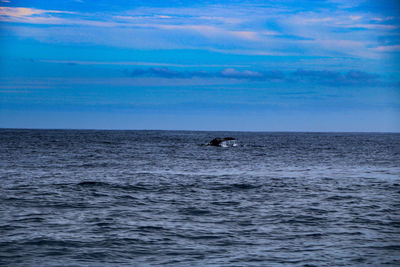 View of sea against sky