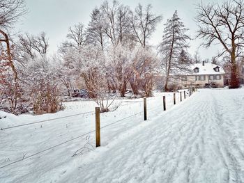 Snow covered field by trees against sky