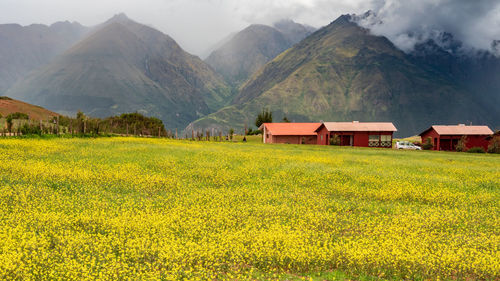 Scenic view of field against houses and mountains