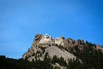 Low angle view of plants on mountain against blue sky