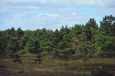 Trees in forest against sky