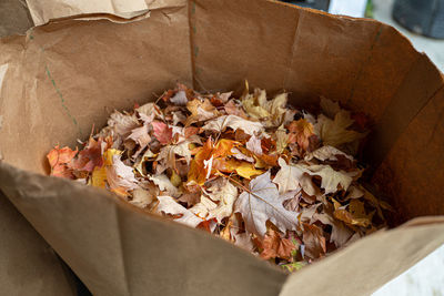 Fall leaves have been bagged for disposal