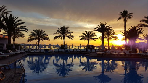 Palm trees by swimming pool against sky during sunset