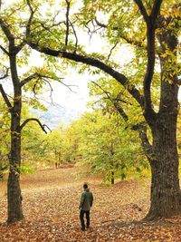 Rear view of man walking in forest during autumn