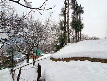 Snow covered bare trees on field against sky