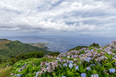 Scenic view of sea against cloudy sky