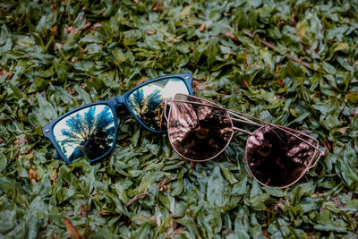 High angle view of sunglasses on leaves