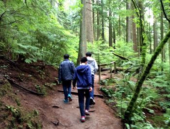 Rear view of friends walking on footpath in forest