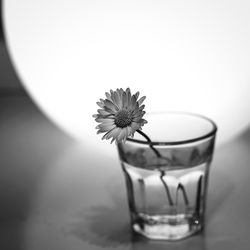 Close-up of flower in glass on table