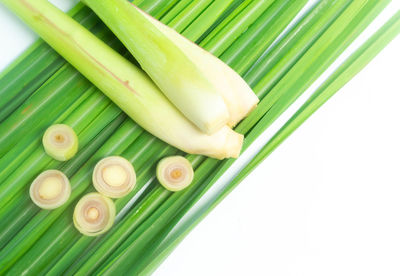 High angle view of fresh green leaves on white background