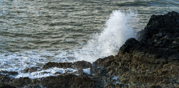 Waves splashing on rocks