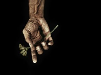 Cropped hand holding flower against black background