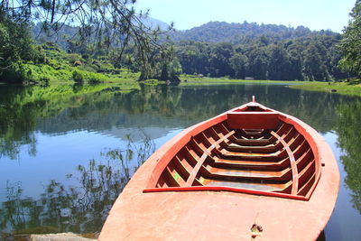 Scenic view of lake by trees