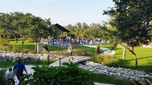 Trees growing in park